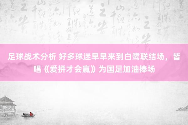 足球战术分析 好多球迷早早来到白鹭联结场，皆唱《爱拼才会赢》为国足加油捧场