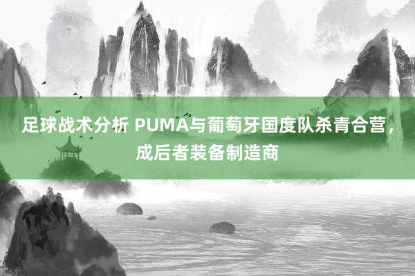 足球战术分析 PUMA与葡萄牙国度队杀青合营，成后者装备制造商