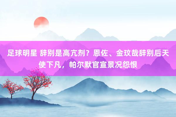 足球明星 辞别是高亢剂？恩佐、金玟哉辞别后天使下凡，帕尔默官宣景况怨恨