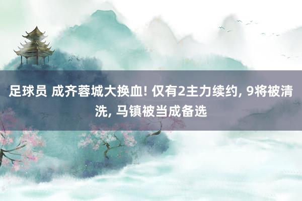 足球员 成齐蓉城大换血! 仅有2主力续约, 9将被清洗, 马镇被当成备选