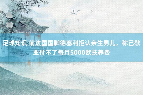 足球知识 前法国国脚德塞利拒认亲生男儿，称已歇业付不了每月5000欧扶养费