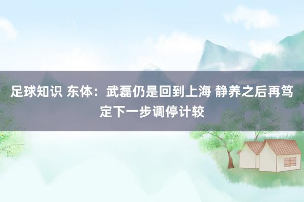 足球知识 东体：武磊仍是回到上海 静养之后再笃定下一步调停计较