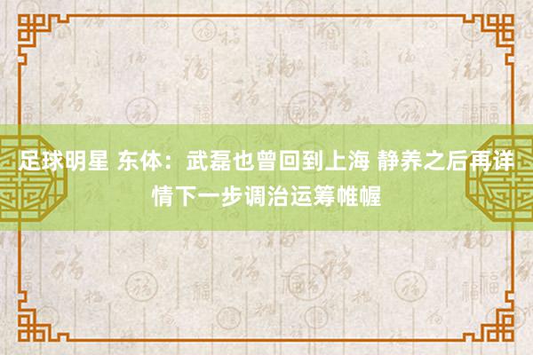 足球明星 东体：武磊也曾回到上海 静养之后再详情下一步调治运筹帷幄