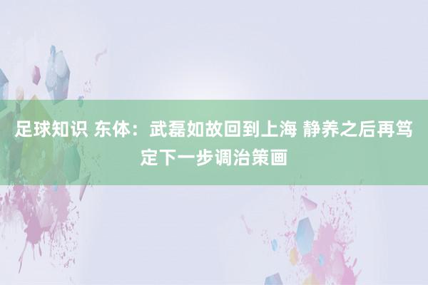 足球知识 东体：武磊如故回到上海 静养之后再笃定下一步调治策画