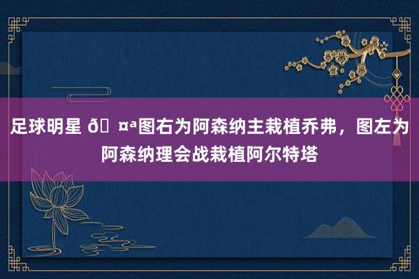 足球明星 🤪图右为阿森纳主栽植乔弗，图左为阿森纳理会战栽植阿尔特塔