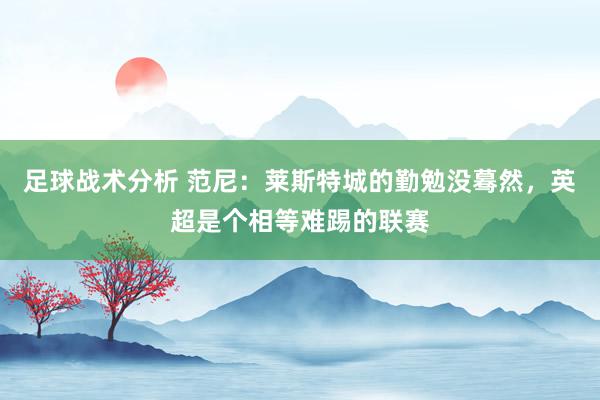 足球战术分析 范尼：莱斯特城的勤勉没蓦然，英超是个相等难踢的联赛