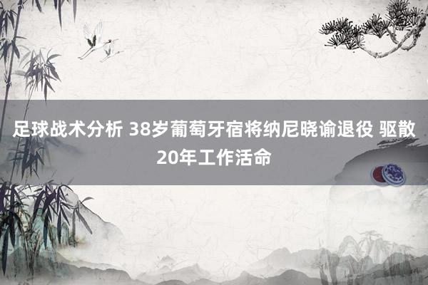 足球战术分析 38岁葡萄牙宿将纳尼晓谕退役 驱散20年工作活命