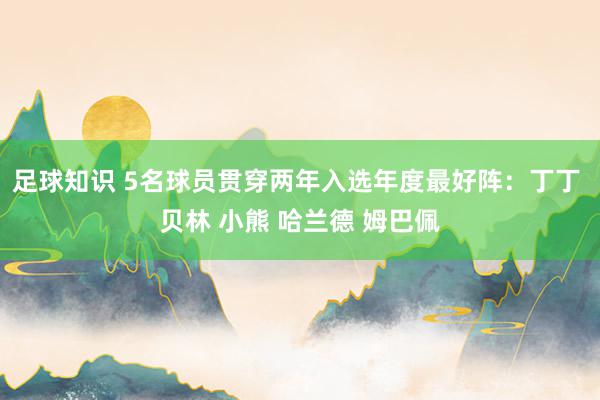 足球知识 5名球员贯穿两年入选年度最好阵：丁丁 贝林 小熊 哈兰德 姆巴佩